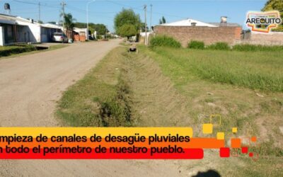 Limpieza de canales de desagüe perimetral.