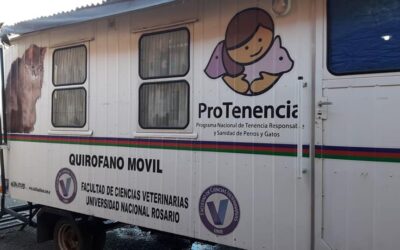Jornada de castración gratuita