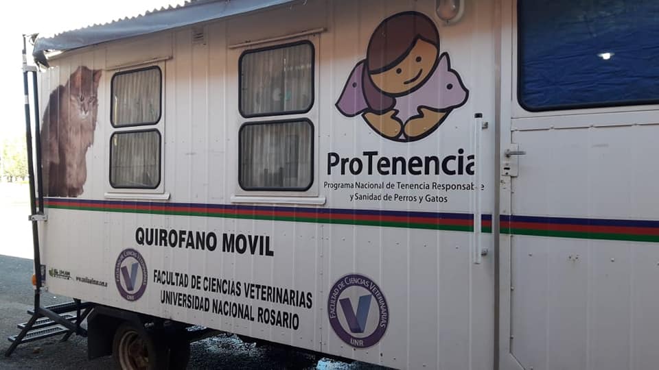 Jornada de castración gratuita