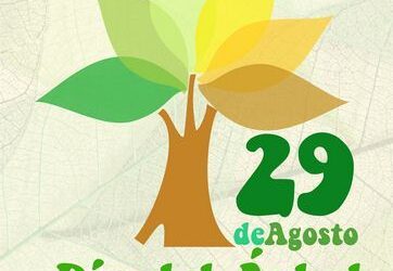 Celebramos el día del árbol plantando