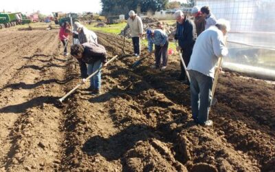 Curso de huerta