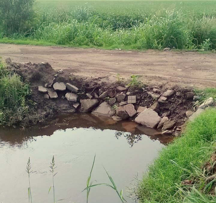 Conductas en contra de toda la comunidad