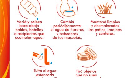 Prevengamos el Dengue, no lo pierdas de vista.