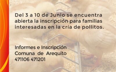 Programa Inta: Entrega de Aves