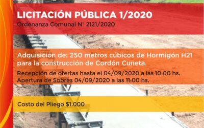 Licitación Pública 1/2020